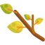 branch img